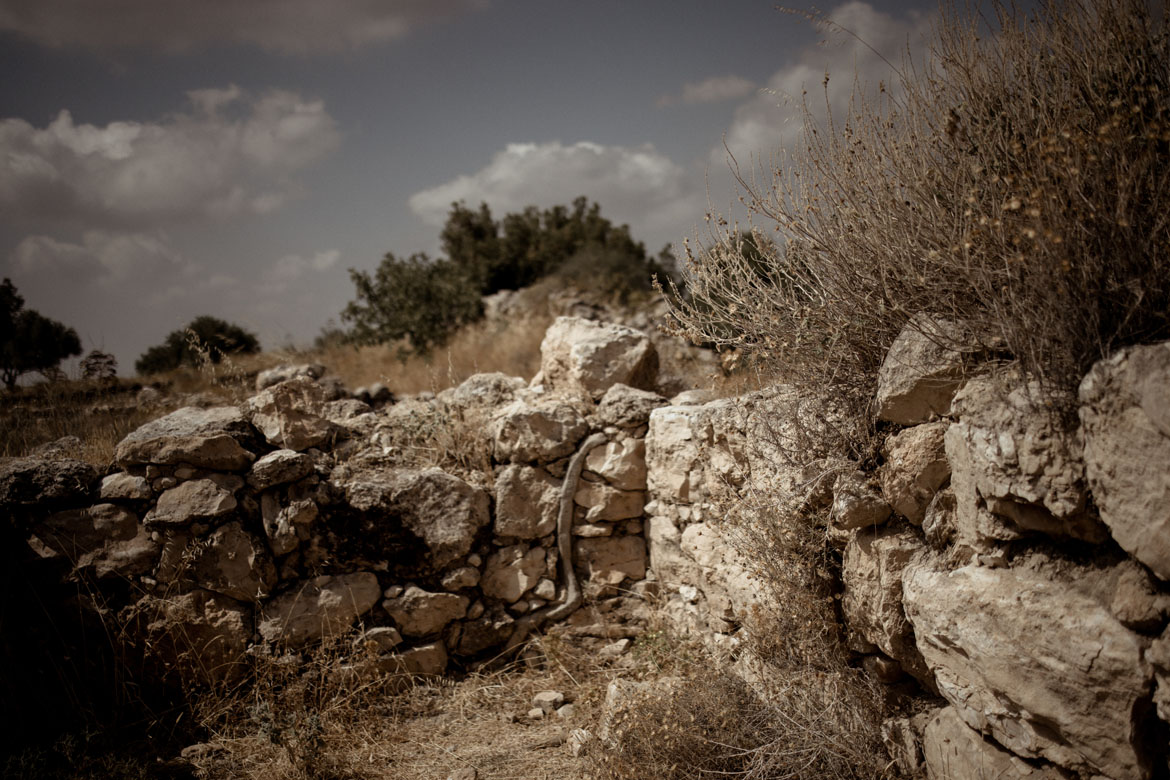 KhirbetQeiyafa Elah Fortress