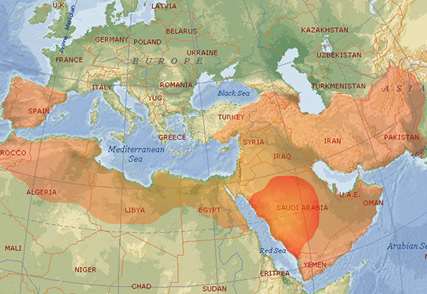 The territorial expansion of Islam.