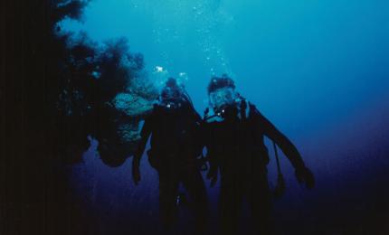 In Search of The Lost Shipwreck of Paul